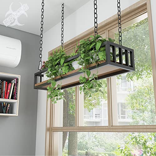 Metall-Deckenregal für den Innenbereich, Pflanzenaufhänger – Wand-/Fenster-Hängekorb & Blumentopfregal – langlebige Aufbewahrungshalter für Pflanzen – 140 x 25 x 15 cm Metall-Deckenregal für den Innenbereich, Pflanzenaufhänger – Wand-/Fenster-Hängekorb & Blumentopfregal – langlebige Aufbewahrungshalter für Pflanzen – 140 x 25 x 15 cm von Generisch
