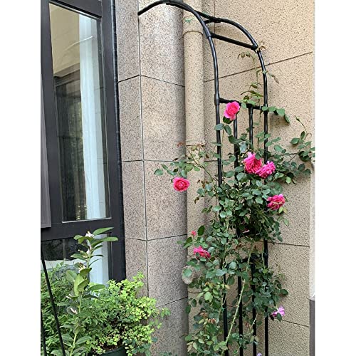 Metall Garten Rankgitter - Robuste Wandmontage-Pergola für Kletterpflanzen, wetterbeständige Unterstützung für den Garten im Freien Metall Garten Rankgitter - Robuste Wandmontage-Pergola für Kletterpflanzen, wetterbeständige Unterstützung für den Garten im Freien von Generisch
