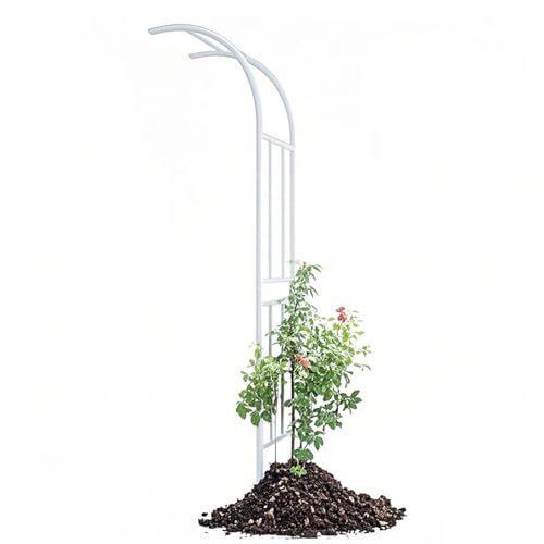 Metall Gartenbogen Kletterpflanzen Outdoor Rosenstütze PE Rankhilfe Rankhilfe für Rebe, Gemüse, Obst und Rasen (Weiß, 300 x 240 cm) von Generisch