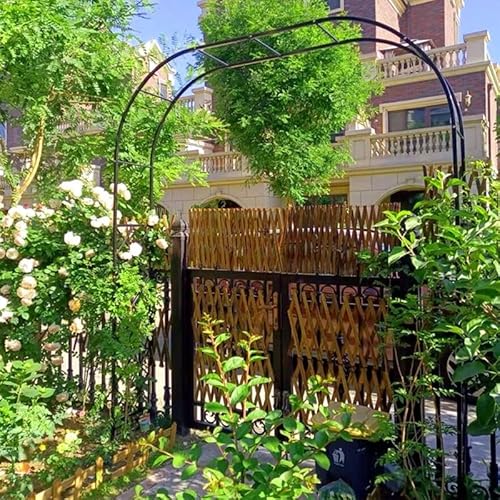Metall Gartenbogen Rankgitter für Kletterpflanzen - Langlebige Eisen Pergola Dekoration für Hinterhof, Rostfreies Design von Generisch