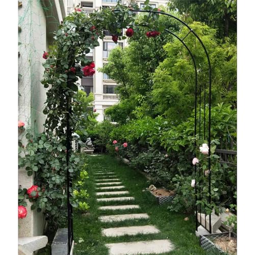 Metall Gartenbogen für Kletterpflanzen Rosenlaube Rankhilfe Outdoor Pergola für Hochzeit Terrasse Deko Gartenlandschaft Langlebig und Stilvoll Gartentorbogen von Generisch
