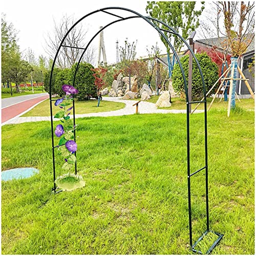 Metall Pergola Laube Gartenbogen für Kletterpflanzen Deko Rankgitter Torbogen in Schwarz Grün Weiß Größen 1,2m bis 3,0m Höhe 7,2/2,3m Outdoor Garten Dekor Metall Pergola Laube Gartenbogen für Kletterpflanzen Deko Rankgitter Torbogen in Schwarz Grün Weiß Größen 1,2m bis 3,0m Höhe 7,2/2,3m Outdoor Garten Dekor von Generisch