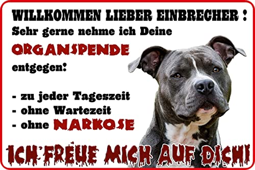 Metall Schild 20x30cm Einbrecher freue mich auf dich Hund Sprüche Blechschild von Generisch