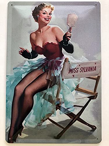 Metall Schild 20x30cm Erotik Frau sexy pin up Spiegel Miss Sylvania Blechschild von Generisch