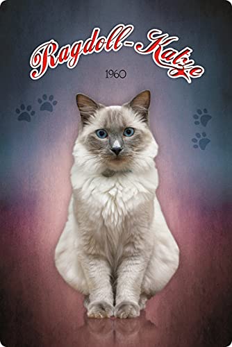 Metall Schild 20x30cm Ragdoll Katze Blechschild von Generisch