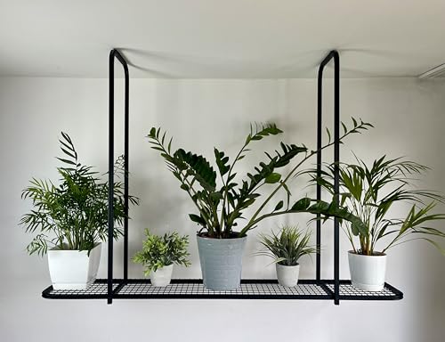 Metalregal für Pflanzen – Hängendes Regal für Zimmerpflanzen, Balkon & Garten – Modernes Design aus Metall – Stabiler Pflanzhalter für Kräuter und Blumen – Platzsparendes Aufbewahrungssystem (70cm) von Generisch