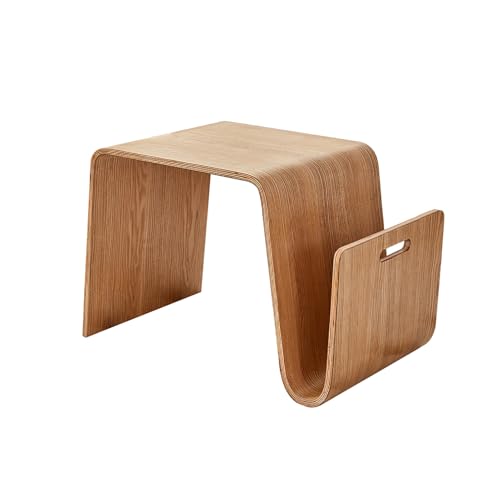 Mid Century Moderner Beistelltisch mit Zeitschriftenständer, minimalistisches Design für kleine Räume, perfekt als Sofa-Beistell- oder Nachttisch im Wohnzimmer oder Schlafzimmer von Generisch
