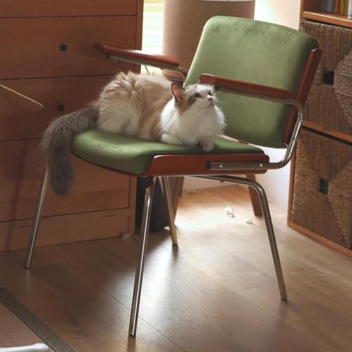 Mid Century Moderner Sessel, Samt gepolsterter Akzentstuhl mit Metallbeinen, Massivholz Loungesessel für Wohnzimmer, Schlafzimmer, Balkon von Generisch