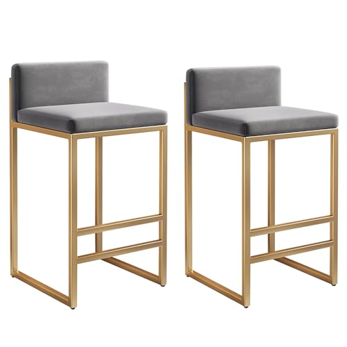 Moderne Barhocker 2er Set mit Rückenstütze ideal für Kücheninsel, Esszimmer und Thekensitze von Generisch