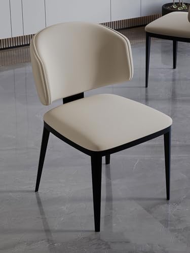 Moderne Esszimmerstühle Set mit gepolstertem Sitz und Metallfüßen, bequeme Rückenlehne für Küche, Wohnzimmer und Schlafzimmer von Generisch