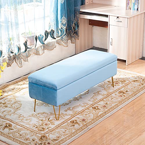 Moderne Sitzbank aus Plüschsamt mit Stauraum, getuftetes Design, 80 x 40 x 43 cm, stilvolle Bettbank für Eingangsbereich oder Wohnzimmer, Hellblau von Generisch