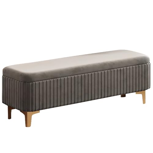 Moderne Sitzbank mit Stauraum, stilvoll für Schlafzimmer, Wohnzimmer und Eingangsbereich (Grau, 120 x 40 cm) – funktionale Möbellösung von Generisch