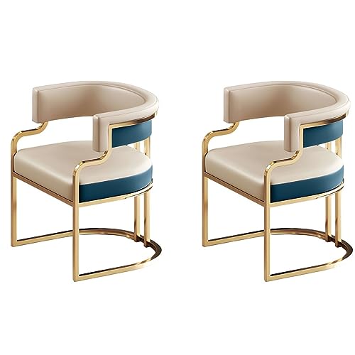 Moderne gepolsterte Esszimmerstühle, 2er-Set, niedrige Rückenlehne, Kunstleder, ideal für Milchteeshop, Küche oder Esszimmer, Hellblaugrau Moderne gepolsterte Esszimmerstühle, 2er-Set, niedrige Rückenlehne, Kunstleder, ideal für Milchteeshop, Küche oder Esszimmer, Hellblaugrau von Generisch