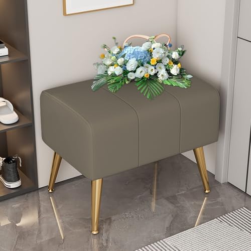 Moderne gepolsterte rechteckige Ottoman-Bank mit goldfarbenen Metallbeinen, Kunstleder-Fußstütze für Wohnzimmer, Eingangsbereich, Foyer, Schlamm, Flur, Sitzgelegenheit und Aufbewahrung Moderne gepolsterte rechteckige Ottoman-Bank mit goldfarbenen Metallbeinen, Kunstleder-Fußstütze für Wohnzimmer, Eingangsbereich, Foyer, Schlamm, Flur, Sitzgelegenheit und Aufbewahrung von Generisch