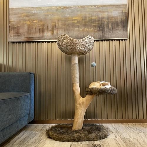 Moderner Indoor-Katzenbaumturm, Massivholz-Katzenhütte für große Katzen und Kätzchen, stilvolle Kletter- und Ruhemöbel, für Katzenliebhaber, Weiß/Braun von Generisch