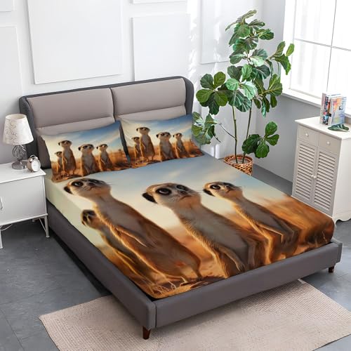 Multicolor Spannbettlaken Weiche Atmungsaktivem 200 x 200 cm, Tiefe Tasche Matratzenschoner rutschfeste Atmungsaktive Wüste Cartoon Tiere Katzen Spannbettlaken für Kinder Erwachsene von Generisch