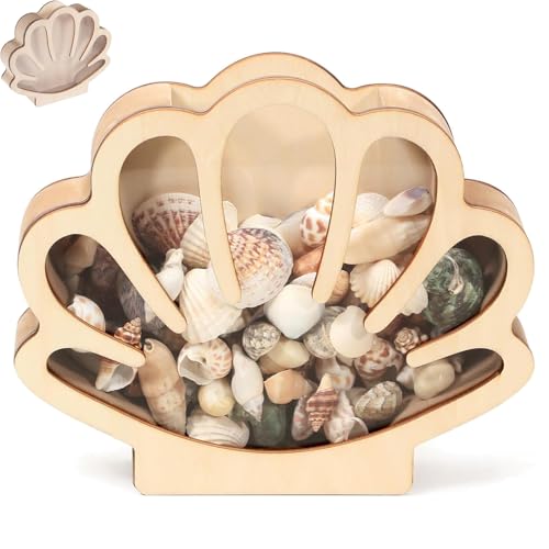Muschel-Vitrine aus Holz mit Acrylplatte, Strand-Muschel-Aufbewahrungsbox-Halter für Sammler (B) von Generisch