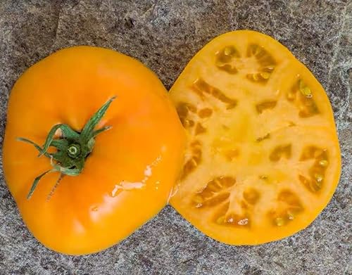 NO-GMO 20 Samen, Tangerine Tomaten Samen Gemüse Garten Samen Heirloom Samen Samen von Generisch