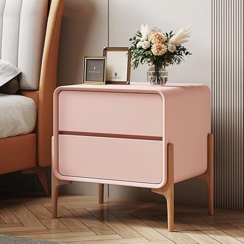 Nachttisch, schlicht, Nachttisch, Schlafzimmerschränke, 2 Schubladen, geeignet für Schlafzimmer, Wohnzimmer (Größe: 50 x 40 x 50 cm, Farbe: Rosa) von Generisch