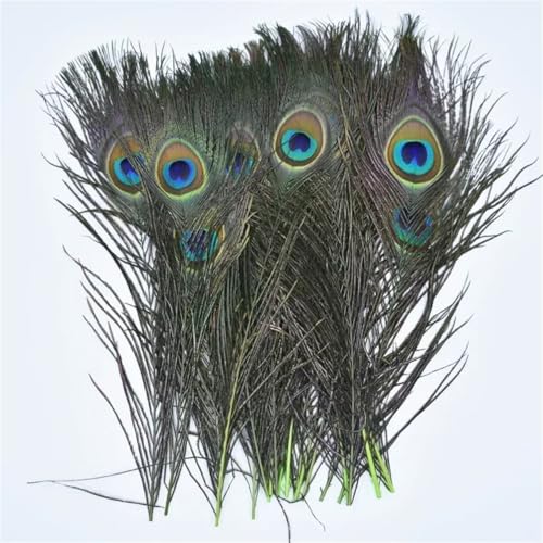 Natürliche Pfauenfedern zum Basteln, Vasen, Pfauenfedern, Dekoration, Schmuck, Dekoration, DIY, Karneval, EN81, 10 Stück Natürliche Pfauenfedern zum Basteln, Vasen, Pfauenfedern, Dekoration, Schmuck, Dekoration, DIY, Karneval, EN81, 10 Stück von Generisch