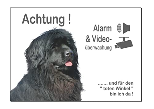 Neufundländer-Alarm + Videoüberwachung-Hund-Schild-Hundeschild-300 x 200 x 3 mm-Aluminium-Hunde-Tierschild-Warnschild-Hinweisschild (1451-123 weiß ohne Löcher) von Generisch