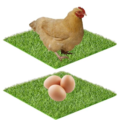 Nistkastenpolster für Hühner, Waschbarer Bodenbelag Kunstrasen, 2 Stück Kunstrasen Nistpads für Küken Roosting Bauernhof Rasen Garten Hinterhof von Generisch