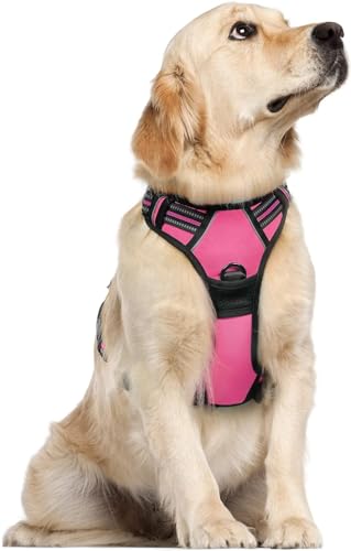 No Pull Hundegeschirr Grosse/Mittelgroße Hundegeschirr a𝐧ion𝐞 Geschirr Hund Dog Harness Anti Zieh Geschirr Hunde Verdicken Reflexstreifen Atmungsaktiv Brustgeschirr Hundegeschirr Pink L von Generisch