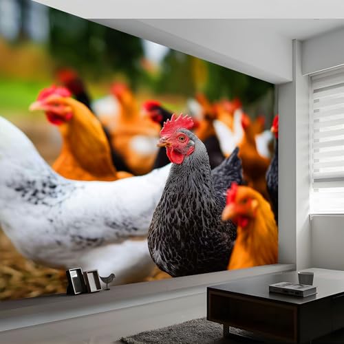 Orange Fototapete, Natur Tiere Landschaft Huhn Moderne Vlies-Tapete 400 x 280 cm (B x H) – Wanddekoration mit Design für Wohnzimmer und Schlafzimmer von Generisch