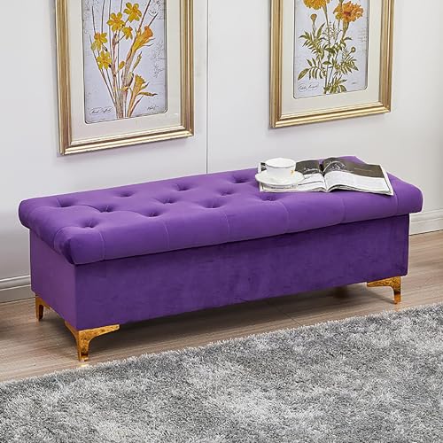 Ottoman-Bank aus Samt – Stilvoller gepolsterter Sitz für Schlafzimmer und Wohnzimmer – Multifunktions-Schuhbank – moderne Wohnmöbel – 100 x 45 x 40 cm von Generisch