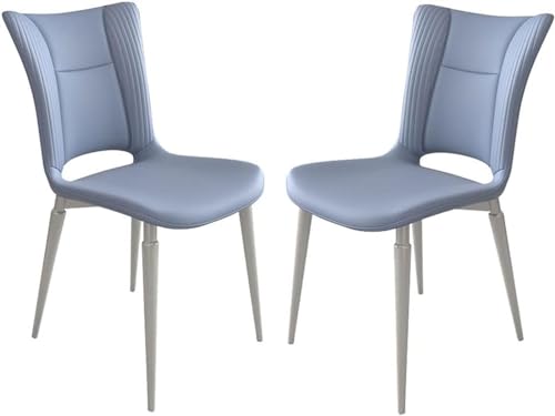 PU Leder Küche Esszimmer Stühle Set Von 2 Schlafzimmer Zimmer Balkon Sofa Stuhl Carbon Stahl Bein(Light Blue) von Generisch