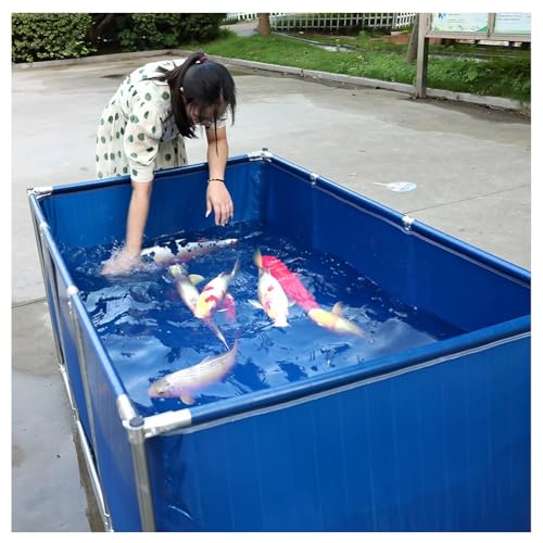 PVC-Segeltuch-Fischteich mit Stahlrahmen, rechteckiges oberirdisches Schwimmbad, faltbarer Wasserspeichertank, einfach zu installieren für Camping und Hinterhof PVC-Segeltuch-Fischteich mit Stahlrahmen, rechteckiges oberirdisches Schwimmbad, faltbarer Wasserspeichertank, einfach zu installieren für Camping und Hinterhof von Generisch