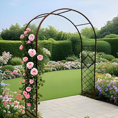 Pergola-Dorn aus Stahl, rostfreier Gartenbogen für Kletterpflanzen, einfach zu montieren, Metallspalier – perfekt für Hochzeiten und Outdoor-Dekor von Generisch