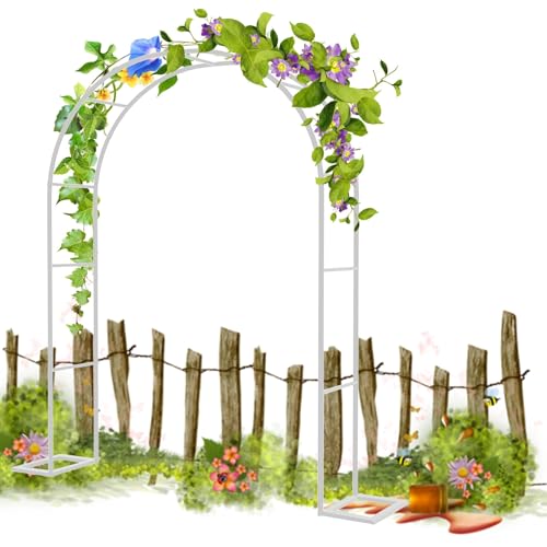 Pergola Pergola Pergola, Indoor/Outdoor Pflanzenbogen, Eisen Rankhilfe für Kletterpflanzen, Hochzeitsdeko, Gartenlaube Rankgitter 0,8 x 2 m, langlebiges & elegantes Design von Generisch
