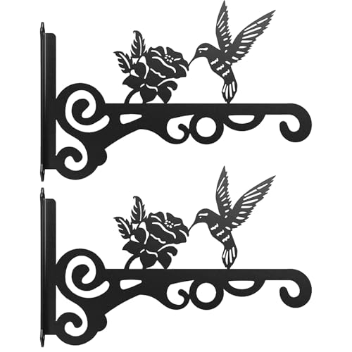 Pflanzenaufhänger für den Innenbereich, aus Eisen, robuste Wandhalterung, Regalhalterungen für Geländer, , Terrasse, , Kolibri, Pflanzenaufhänger für den Innenbereich, aus Eisen, robuste Wandhalterung, Regalhalterungen für Geländer, , Terrasse, , Kolibri, von Generisch