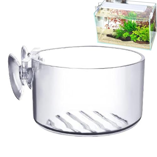 Pflanzenhalter Für Aquarium,Akryl Aquarienpflanzenkorb Mit Saugnapf | Pflanzgefäß Für Anzucht Innenbereich Hydrokultur Teich Paludarium Pflanzenhalter Für Aquarium,Akryl Aquarienpflanzenkorb Mit Saugnapf | Pflanzgefäß Für Anzucht Innenbereich Hydrokultur Teich Paludarium von Generisch