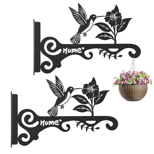 Pflanzenhalterung | Pflanzgefäßaufhänger | 25,4 cm Metall Wandregal mit Vogelblumen-Design für Blumenkorb Laterne Windspiel Balkon Terrasse Garten Hof Indoor von Generisch