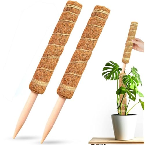 Pflanzenkletterstütze, Moosstangen für Pflanzen, Klettergerüst, Kokospalme, Holzstab (40 cm), 2 Stück von Generisch