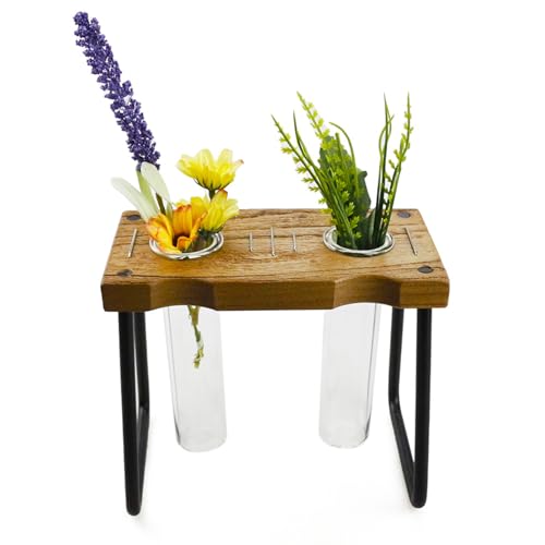 Pflanzenterrarium | Glas Pflanzgefäß für Pflanzenvermehrung,Gartendeko Pflanzgefäß Für Stecklinge Blumen Ableger Efeutute Pflanzenterrarium | Glas Pflanzgefäß für Pflanzenvermehrung,Gartendeko Pflanzgefäß Für Stecklinge Blumen Ableger Efeutute von Generisch