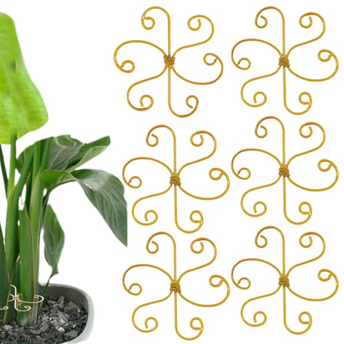 Pflanzenunterstützung, Pflanzenstammhalter | Klettern Sie für die Haustiepflanze Stammhalter | Set von 6 Metallstabilisatoren für Zimmerpflanze Bonsai Monstera, Innengarten -Gartenpflanze -Wachstumszu von Generisch