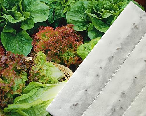 Pflücksalat Saatband 6m (3x2m), Farb- und Geschmacksvielfalt Salat von Generisch