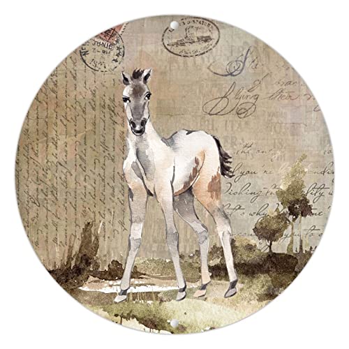 Postkarte Kunstdruck Blechschild Bauernhof Weißes Pferd Metallschild Toskanisches Bauernhaus Einzigartiges Trinkschild Signag Metallplatte Schild Poster für Regal Halbbad Wohnung Garten 30,5 cm von Generisch