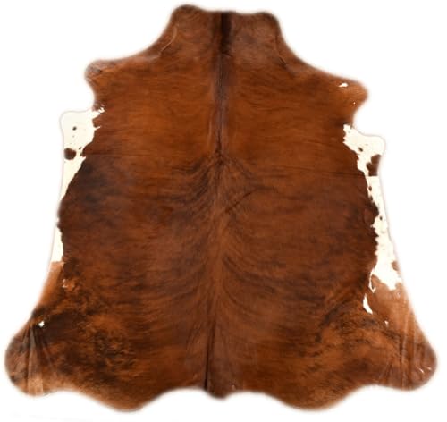 generisch Premium KUHFELL STIERFELL BRAUN EXOTISCH 230 x 200 cm XL Fell Teppich VON KUHFELLE ONLINE von generisch