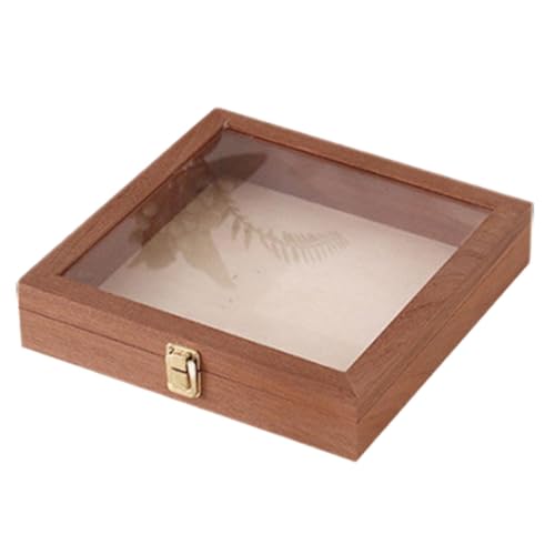 Proben-Präsentationsbox – Aufbewahrungsbox aus Holz, Mineralsammelhalter, Mehrzweck-Aufbewahrungsbox, Schmetterlings-Aufbewahrungsbox, Halsketten-Vitrine mit transparentem Deckel für Ohrringe von Generisch