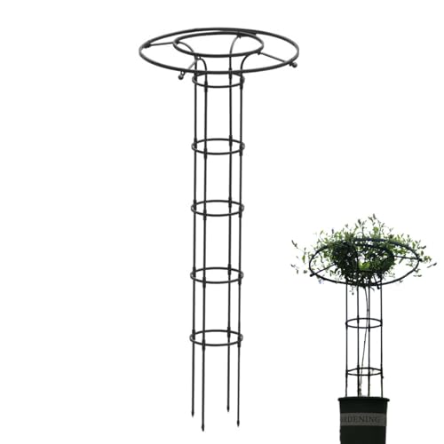Rankgitter Für Kletterpflanzen Im Freien - Vertikale Metall-Blumenstütze | Metall Rankhilfe Mit Säulenform Für Blumen, Zimmerpflanzen & Rankgewächse Rankgitter Für Kletterpflanzen Im Freien - Vertikale Metall-Blumenstütze | Metall Rankhilfe Mit Säulenform Für Blumen, Zimmerpflanzen & Rankgewächse von Generisch