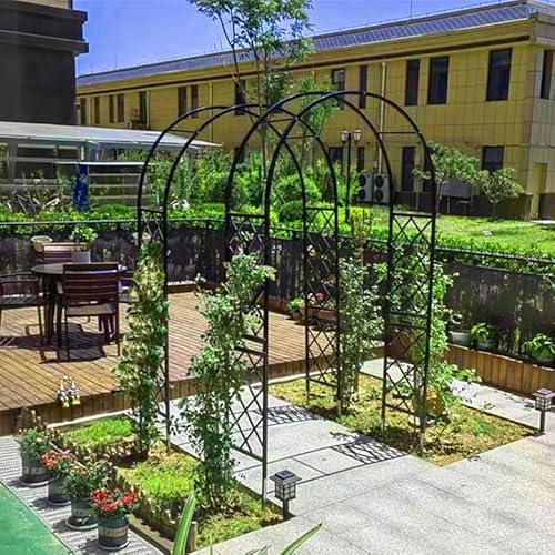 Rankgitter aus Metall für Kletterpflanzen und Rosen, dekorative Outdoor-Gartenlaube für Hochzeiten, erhältlich in 140 cm, 180 cm, 220 cm, 260 cm, 370 cm (B x H), Schwarz von Generisch