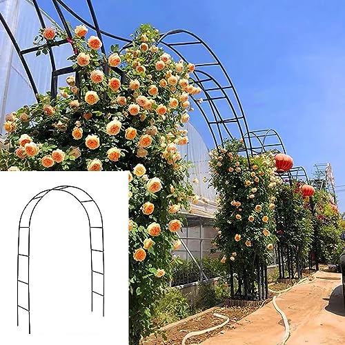 Rankgitter für Kletterpflanzen, 240 cm breit, Rosenbogen, 180 cm, 140 cm und 120 cm hoch, langlebig, weißes Metall, Gartenlaube, perfekt für Outdoor-Dekoration und Unterstützung Rankgitter für Kletterpflanzen, 240 cm breit, Rosenbogen, 180 cm, 140 cm und 120 cm hoch, langlebig, weißes Metall, Gartenlaube, perfekt für Outdoor-Dekoration und Unterstützung von Generisch