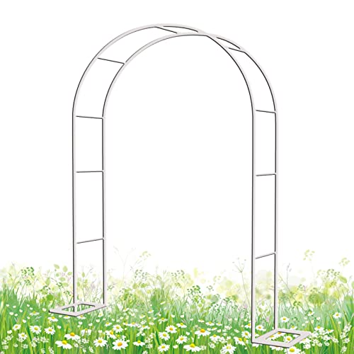 Rankgitter für Kletterpflanzen - 280 cm breit x 200 cm hoch - langlebige Outdoor-Unterstützung für Reben und Blumen - perfekt für Hochzeiten und Landschaftsbau Rankgitter für Kletterpflanzen - 280 cm breit x 200 cm hoch - langlebige Outdoor-Unterstützung für Reben und Blumen - perfekt für Hochzeiten und Landschaftsbau von Generisch