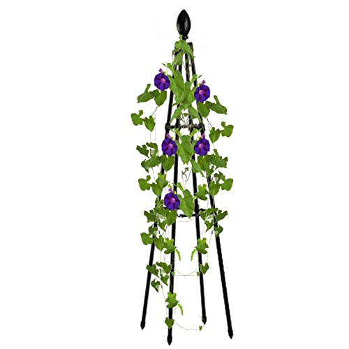 Rankgitter für Topfpflanzen, Rankhilfe für Kletterpflanzen, Metall Garten Obelisk Gartenturm Pflanzenrahmenstütze für Kletterpflanzen, Rostfreie Topfpflanzenstütze von Generisch