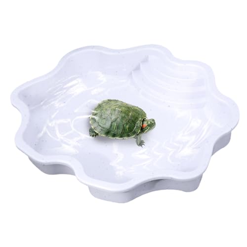 Reptilienwasserschale - Flussuferform Design Reptile Water Bowl | Innovative Leiter Design Tortoise Habitat Accessoires | Schildkrötenwasserschale für Eidechsen, Geckos und Schildkröten von Generisch
