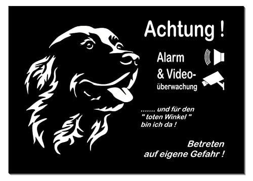 Retriever-Alarm + Videoüberwacht-Hund-Schild-Hundeschild- 3 Größen-Aluminium-Hunde-Tierschild-Warnschild-Hinweisschild (1451-133-30 x 20 cm mit 4 Löcher) von Generisch